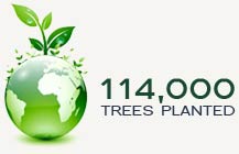 114,000 Trees Planted